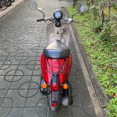 ホンダ　トゥデイ　AF67 綺麗バイク　原付　バッテリー新品 の画像