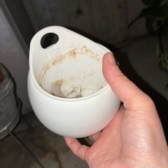 無印良品　植木鉢の画像