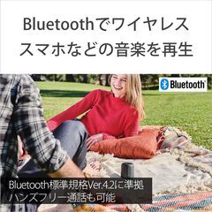 【※10月31日受付終了】SONY ワイヤレススピーカーの画像
