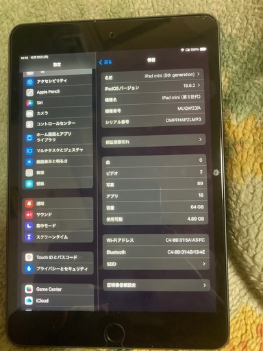 iPad iPadmini5 64GB WiFi