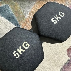 ヘックスダンベル5kg×2個セットの画像