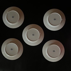 廃盤品　Noritake ノリタケ　 クラフトーン　26㎝　平皿5枚セットの画像