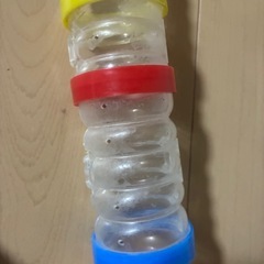 ハムスター　トンネルセット　パイプの画像