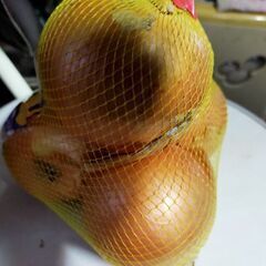北海道産　玉ねぎ４個の画像