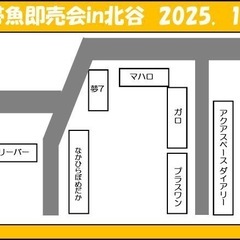 okinawabreedersfes【秋】の画像