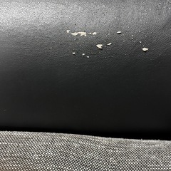 ニューグローリーソファー 
の画像