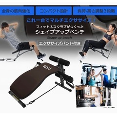 OASIS トレーニングベンチの画像