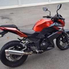 Z250　2.8万KM　前後タイヤ新品　カワサキ　整備済　書類あり　フォークシール、エンジンオイル交換済　詳細写真、始動動画ありの画像
