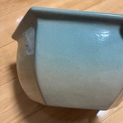 メダカの鉢の画像