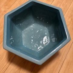 メダカの鉢の画像