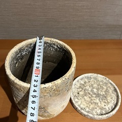 鉢　観葉植物5の画像