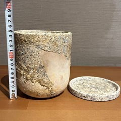 鉢　観葉植物5の画像