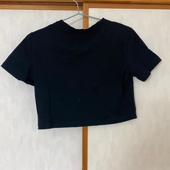 ミニTの画像