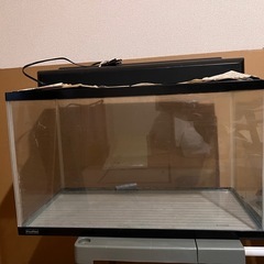 60cm水槽の画像