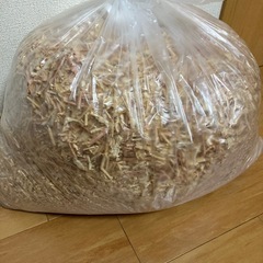 クワガタ飼育などに❗️針葉樹おが屑‼️の画像