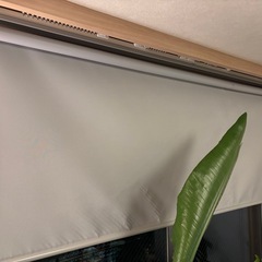 遮光ロールスクリーンの画像