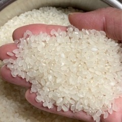 ⭐️農家直売⭐️令和7年度産　庄内産無農薬ヒノヒカリの画像