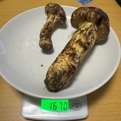 国産　松茸　160gの画像