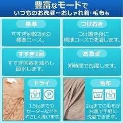 【美品】アイリスオーヤマ　洗濯機　5kgの画像