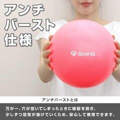 【※10月31日受付終了】グロング ピラティスボール 25cm 3点セットの画像