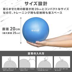 【※10月31日受付終了】グロング ピラティスボール 25cm 3点セットの画像