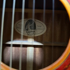 エピフォン Epiphone Hummingbirdギター🎸 の画像