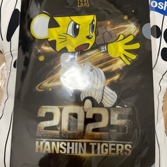 値下げ可！非売品阪神タイガースJoshin限定グッズの画像