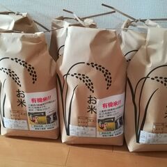 2025年新米‼️精米10kg‼️品種キヌヒカリ‼️の画像
