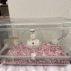 ハムスターゲージ　GEX オールクリアの画像