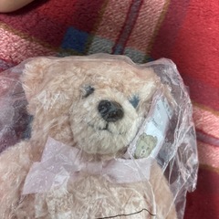 【未開封】テディベア　くまさん　ぬいぐるみ　ピンクの画像