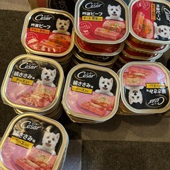 ドッグフード🐶取りに来てくれる方に譲ります❗️の画像