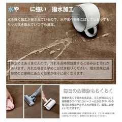 ホットカーペット+カーペット　
二点セットの画像
