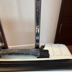 阪神タイガース限定品キャリーケース
の画像