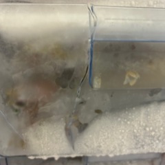 アイリスオーヤマ製175Lタワー冷凍庫 の画像