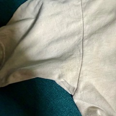 銀杏BOYZ 古着　半袖Tシャツ　ゴイステ　Youth-LつまりレディースのS〜M程度　 Going Steady 銀杏ボーイズ　白の画像