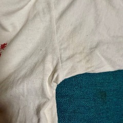 銀杏BOYZ 古着　半袖Tシャツ　ゴイステ　Youth-LつまりレディースのS〜M程度　 Going Steady 銀杏ボーイズ　白の画像