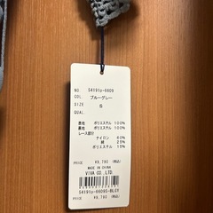 BLUEEAST ラメレース袖付きプリーツドレスの画像