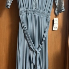 BLUEEAST ラメレース袖付きプリーツドレスの画像