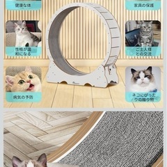 キャットホイールの画像