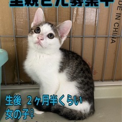 人の手が大好き♡