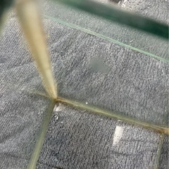 60センチ水槽　2個セットの画像