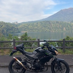 z250の画像