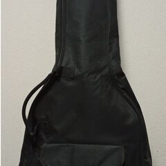 フェンダー エレアコベース CB-60SCE の画像