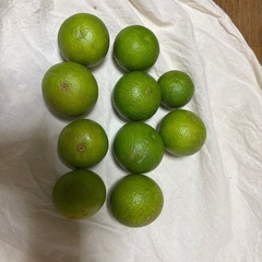 すだち   10個の画像