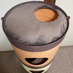 キャットマンションの画像