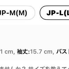黄色Tシャツ　Lサイズ　れでレディースの画像