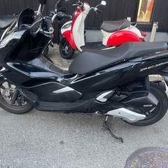 実品　ホンダ PCX 125cc KF30   の画像
