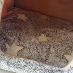 ペットハウスの画像