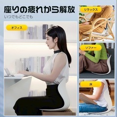 【ドイツ レッドドット賞受賞ブランド】第二世代 姿勢矯正 座面サイズクッション厚み　バランスチェア の画像