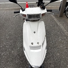 スズキ　アドレスV100の画像